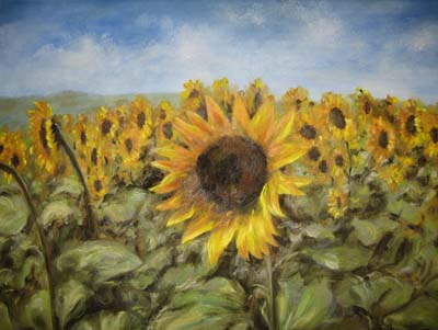 French Sunflowers